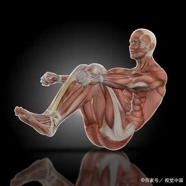 先拉筋还是先运动_运动拉筋疼怎么回事_运动拉筋动作