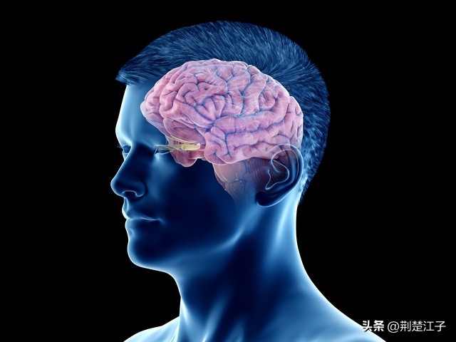 游泳小技巧总结_游泳游得快有什么技巧和方法_游泳的方法是什么